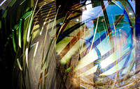 Springs1